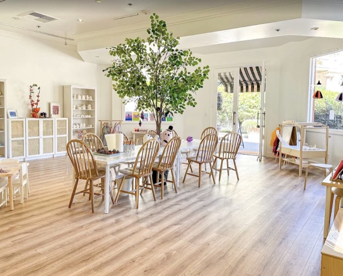 The Dreamland Art and Play studio in Danville: a bright, airy room with natural wood furniture and a large indoor tree